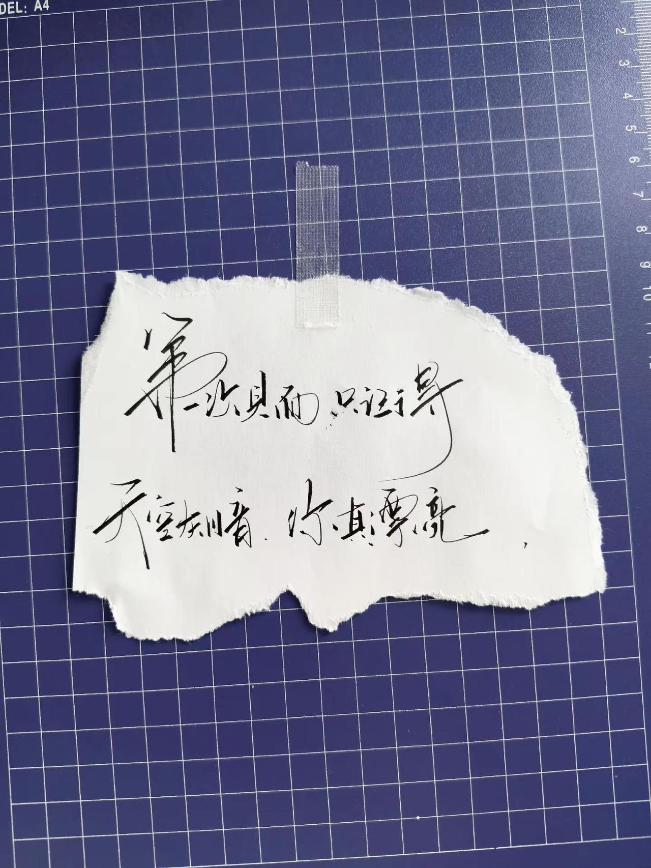 只记得那天 你真漂亮