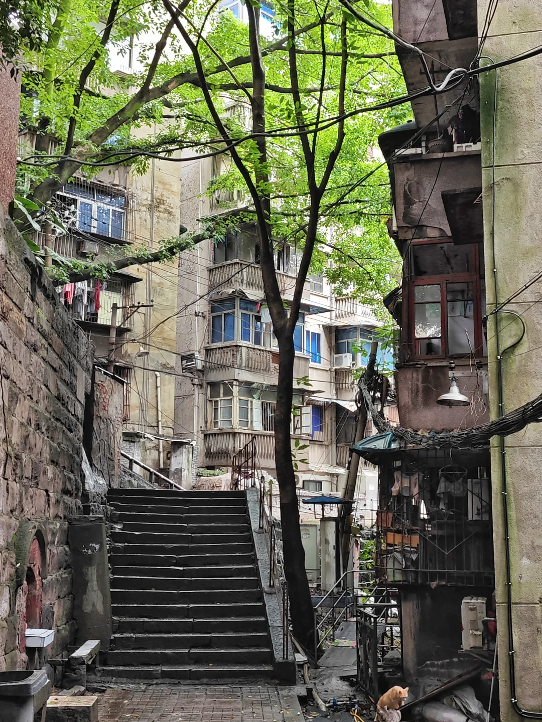 重庆的雨季(citywalk431)