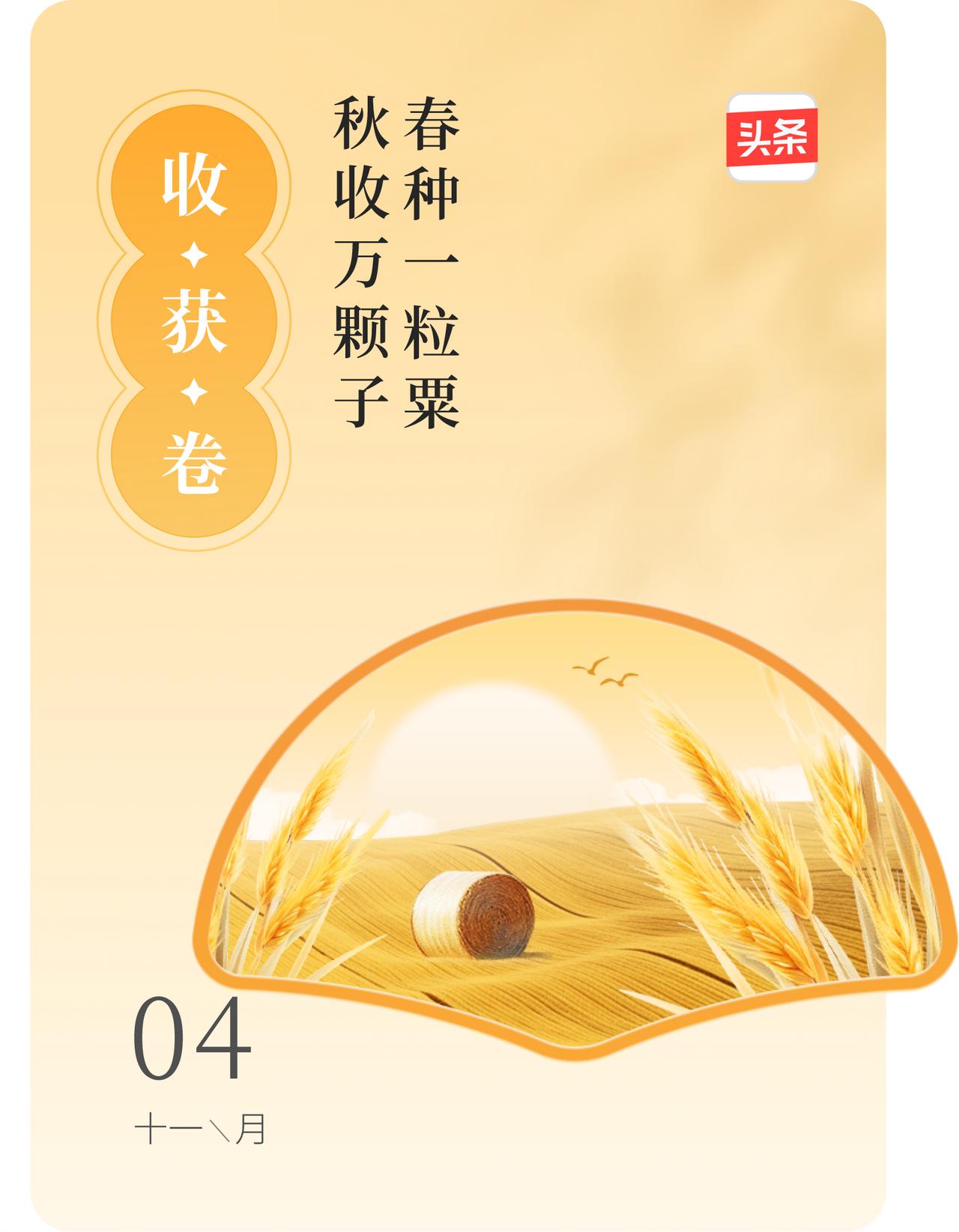 赏秋意
 
秋，带着独有的韵味，如诗如画地展现在眼前。我领到了头条花窗，那里面藏