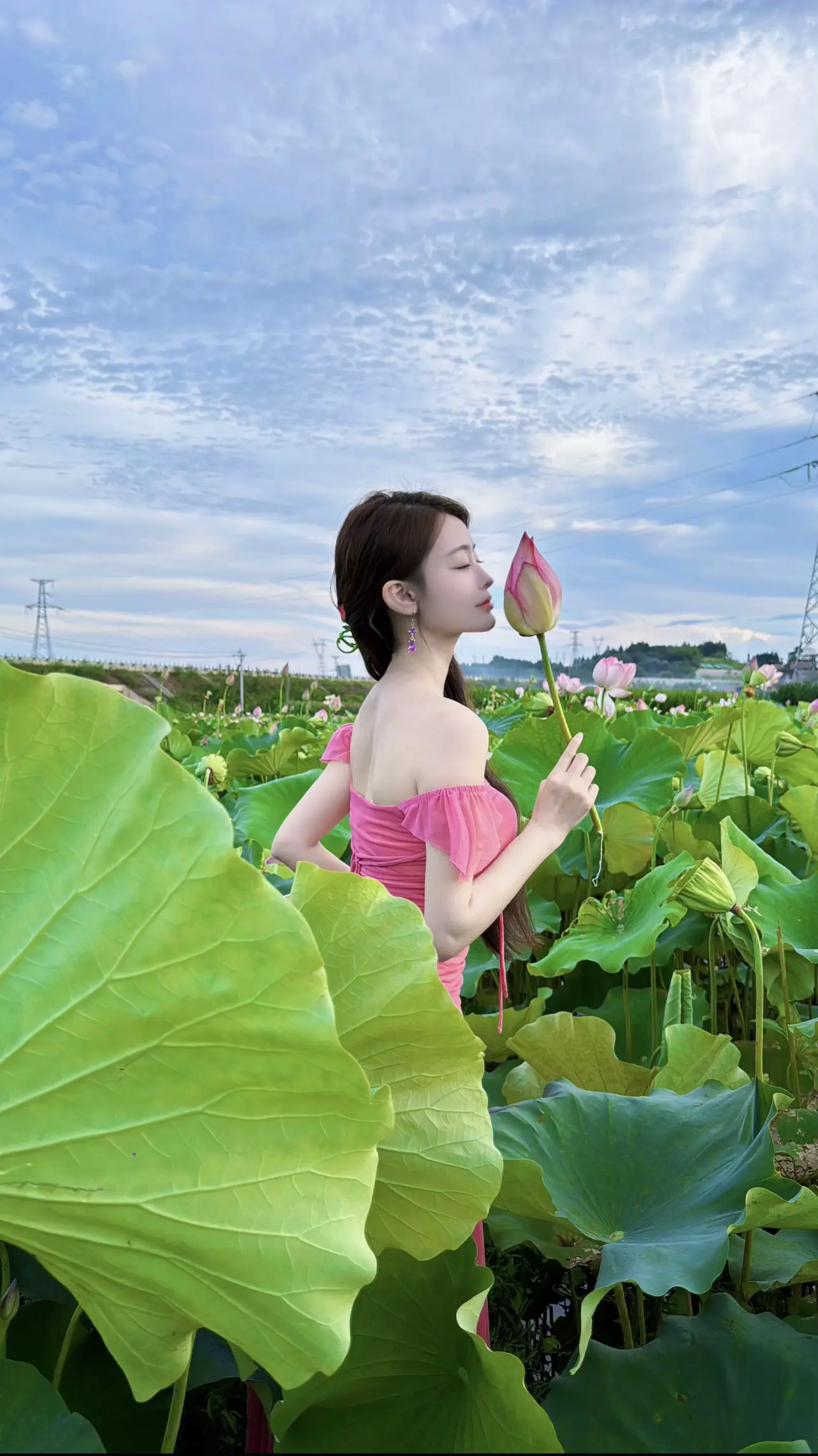 荷以解忧，与夏，与荷，夏日炎炎，好运莲莲🪷