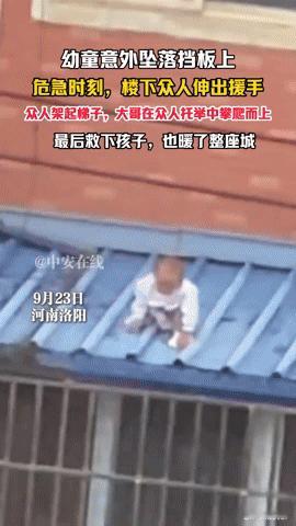幼童悬在挡板命悬一线，洛阳这群人的举动让全网破防！
 
“孩子再往前挪一步就危险