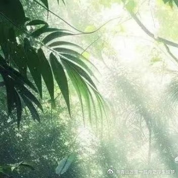 每日一善每日‬一善 阳光‎信用 人生就是一场修行，修的就是一颗心，珍惜今天，珍惜