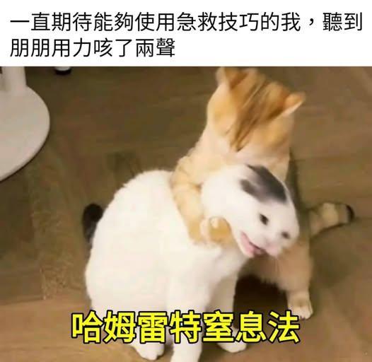 学以致用但没学会memes迷译图