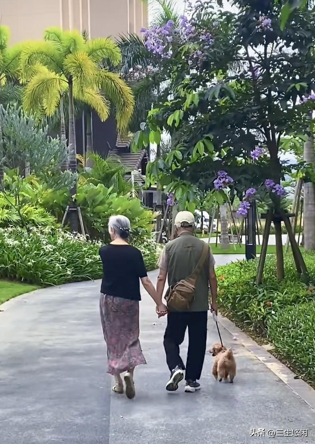 一位曾经决心做丁克的老男人，如今后悔了，他说：“年轻的时候太狂妄，总觉得生孩子是