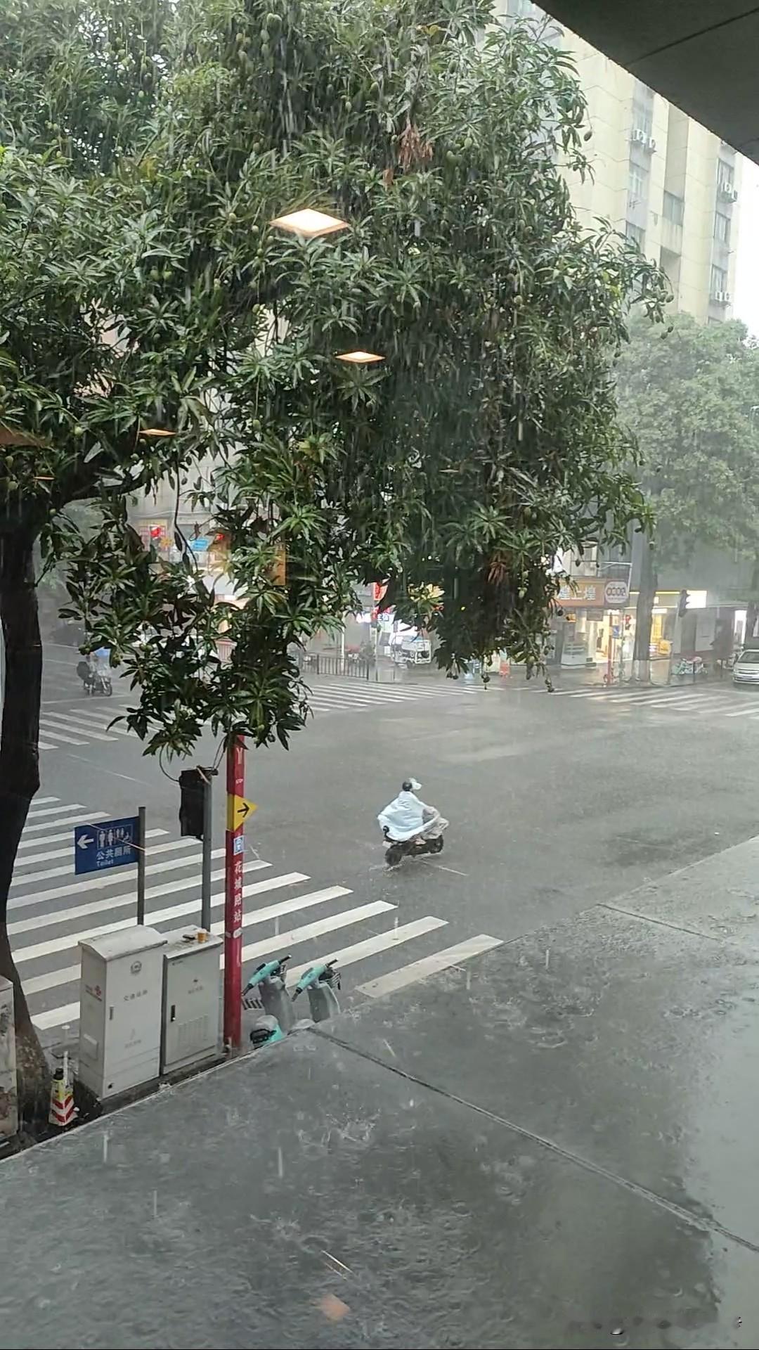 和豆包的对话，差点气晕我：在广东下雨天，如何把日子过得慢一点？

最近广东的天气