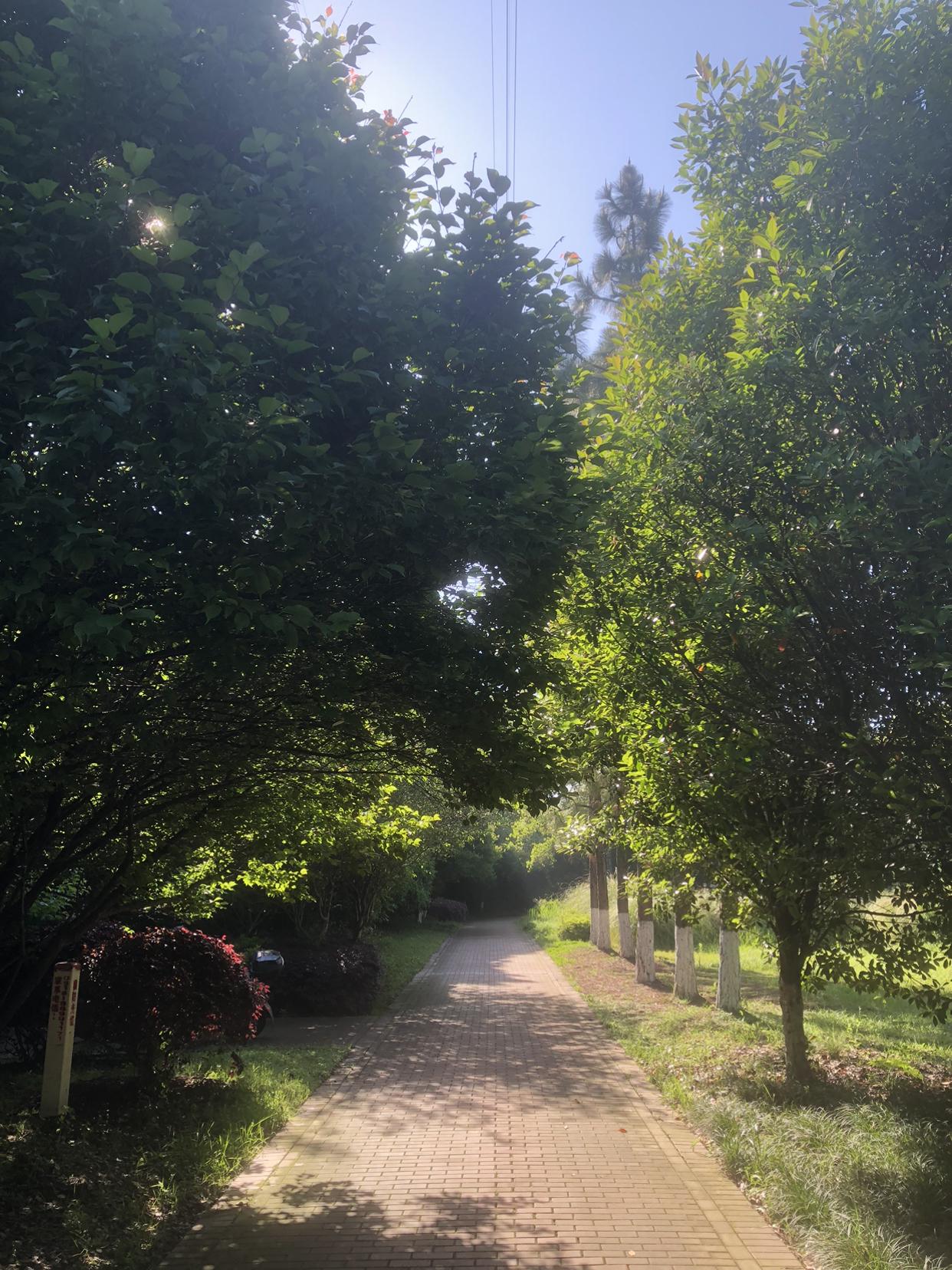 我的今日状态：😁轻松愉快
我这里的天气：☀️晴天
常州今天这天气也太舒服了！太