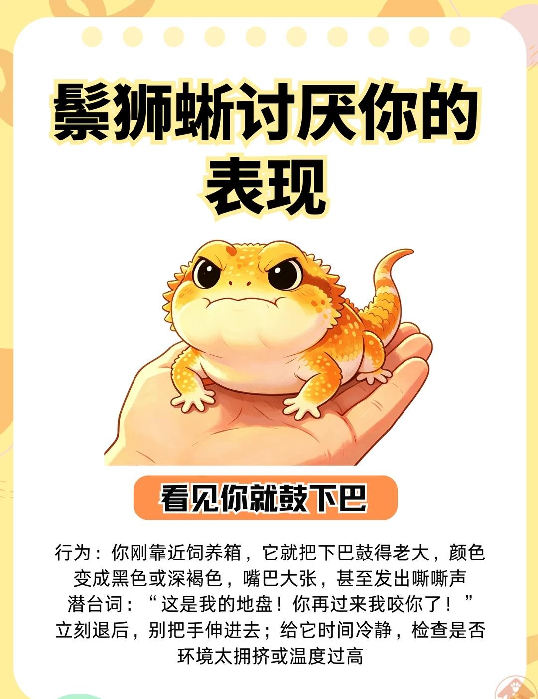 鬃狮蜥讨厌你的6个信号
养鬃狮蜥的宝子有没有遇到过： 一伸手它就鼓下巴、张嘴哈气