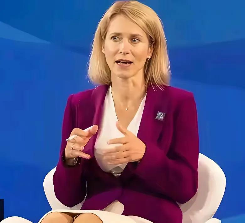 欧盟那位女外长卡拉斯是不是患了被迫害妄想症？否则怎么会总是子虚乌有，制造事端！