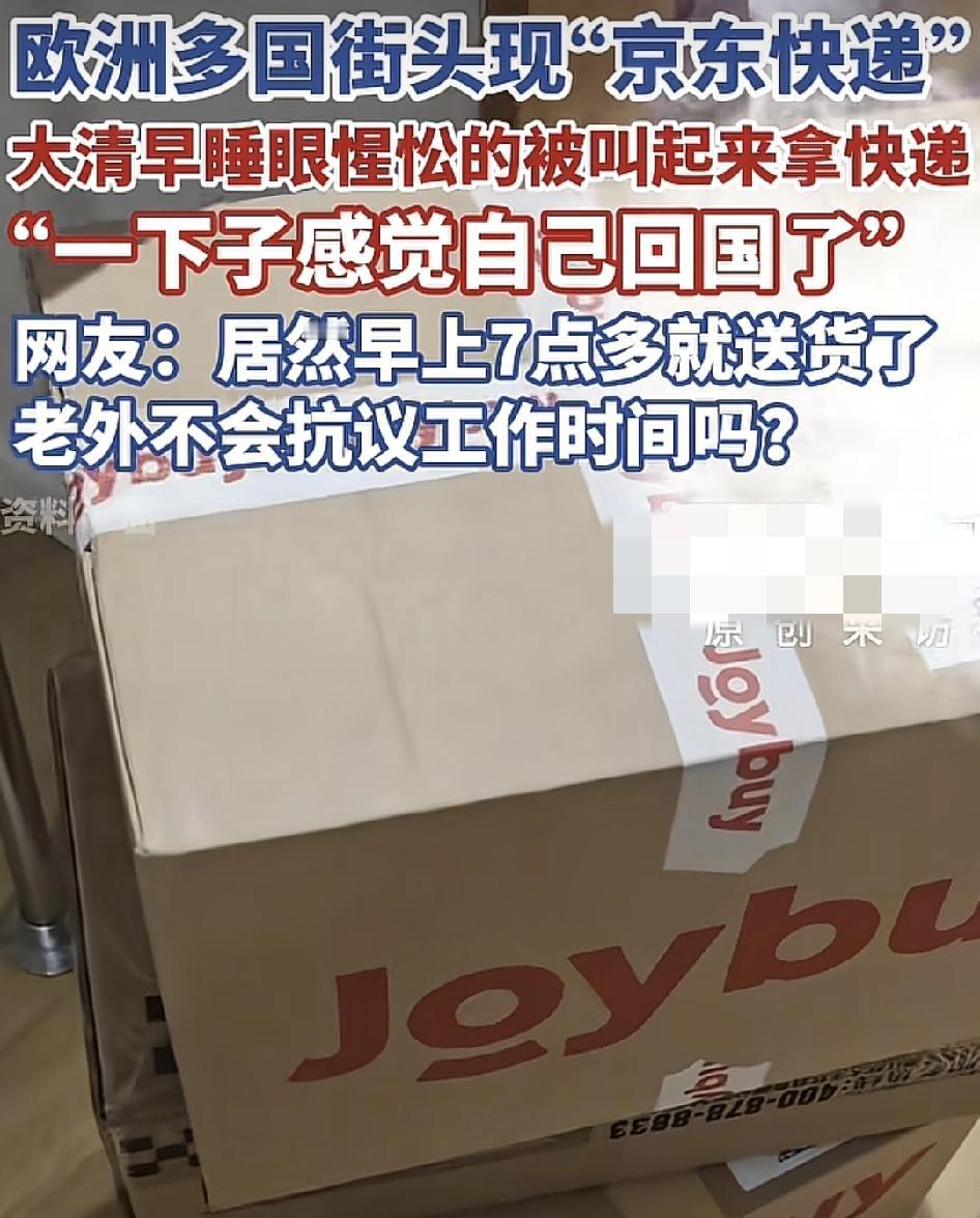 一位来自德国的中国人在网上发文称，前一天晚上通过京东“joybuy”下单，第2天