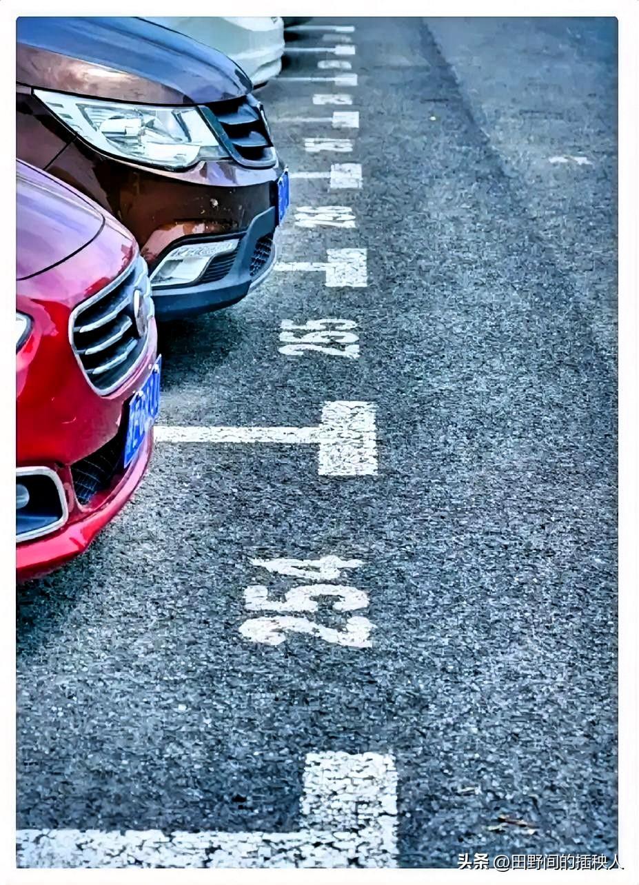 最近油车车主可能要不爽了！

政策明确规定，从今年3月1号起，党政机关、医院、学