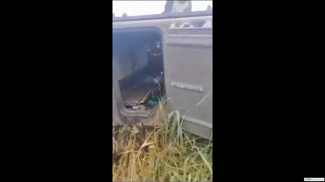 俄特种部队摧毁了反攻中美国M113装甲运兵车。驾驶该车的乌军士兵全部阵亡，尸体掉