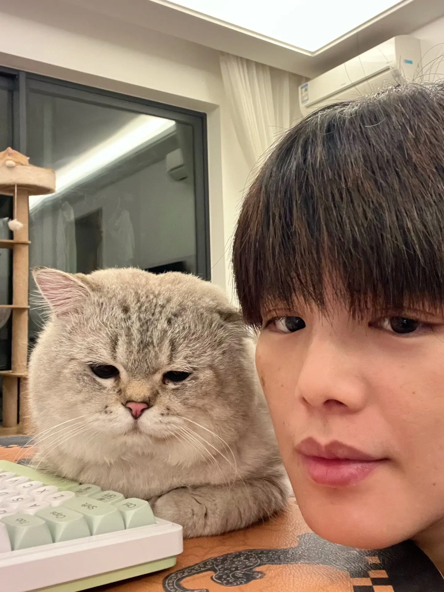 都说小猫跟主人越长越像……像吗？