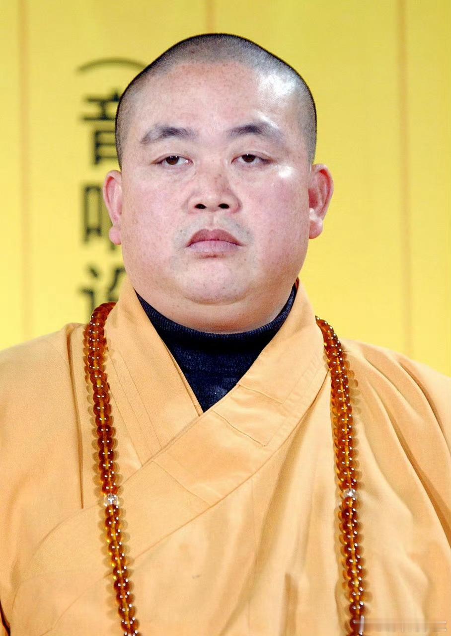 少林寺住持释永信被查不但是个“花和尚”，还是一只“蛀虫”，既要又要，人心不足蛇吞