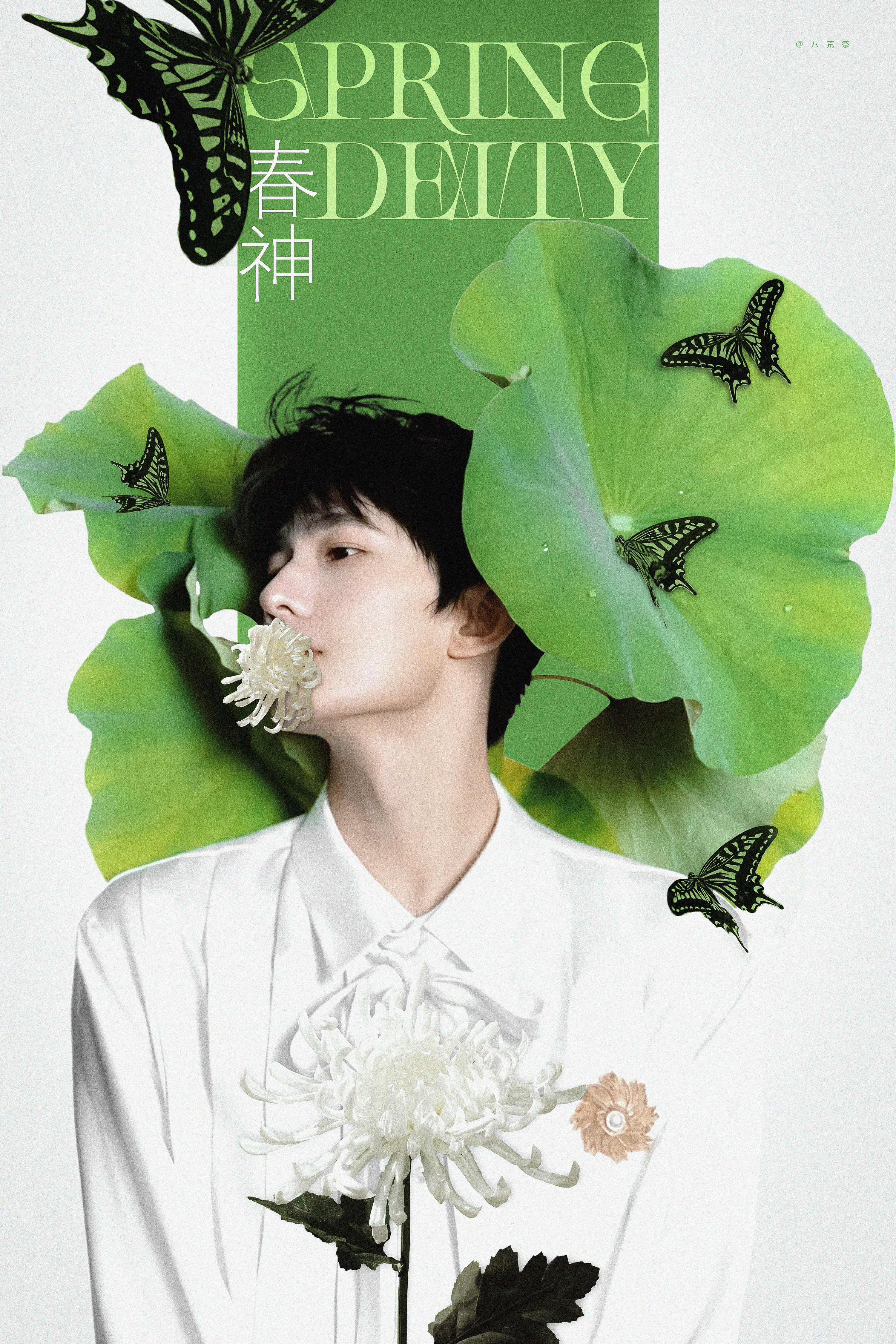 丨杨洋丨春神。 ​​​