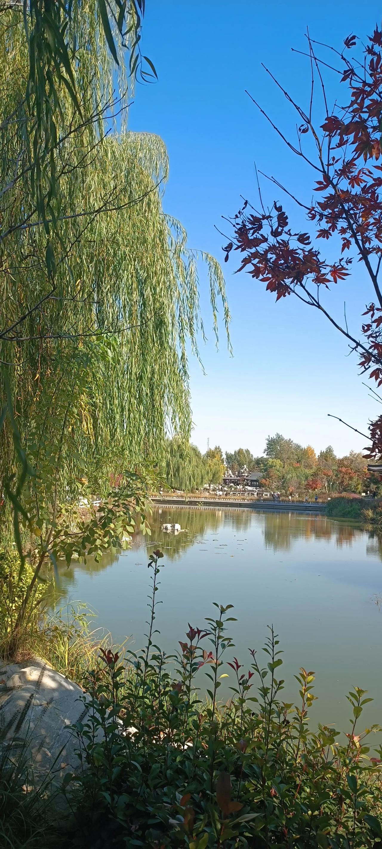 今天，神舟20号飞船延迟返回地球，外媒传出，美军打算用轨道武器干扰中俄卫星的消息