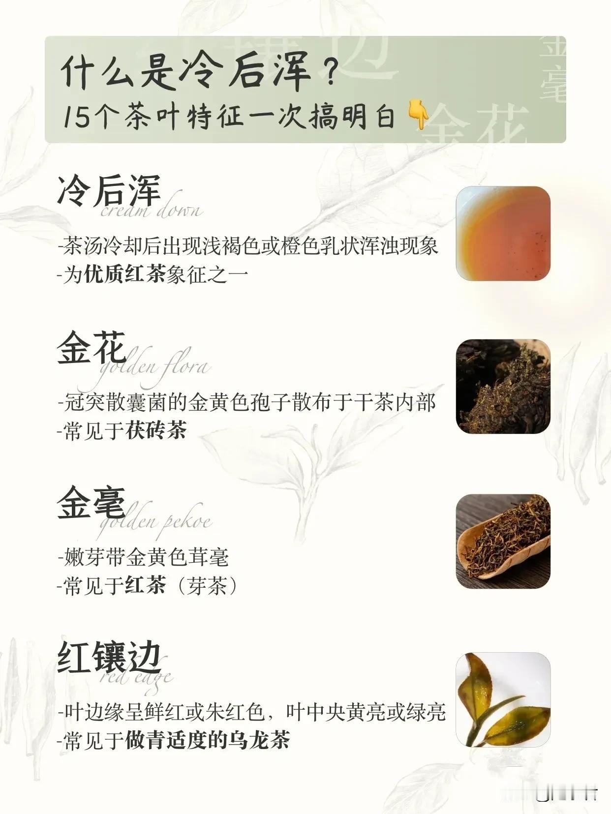 喝茶过程中，总会出现千奇百怪的问题，什么茶汤冷了之后变浑浊、茶表面有层白霜、茶放