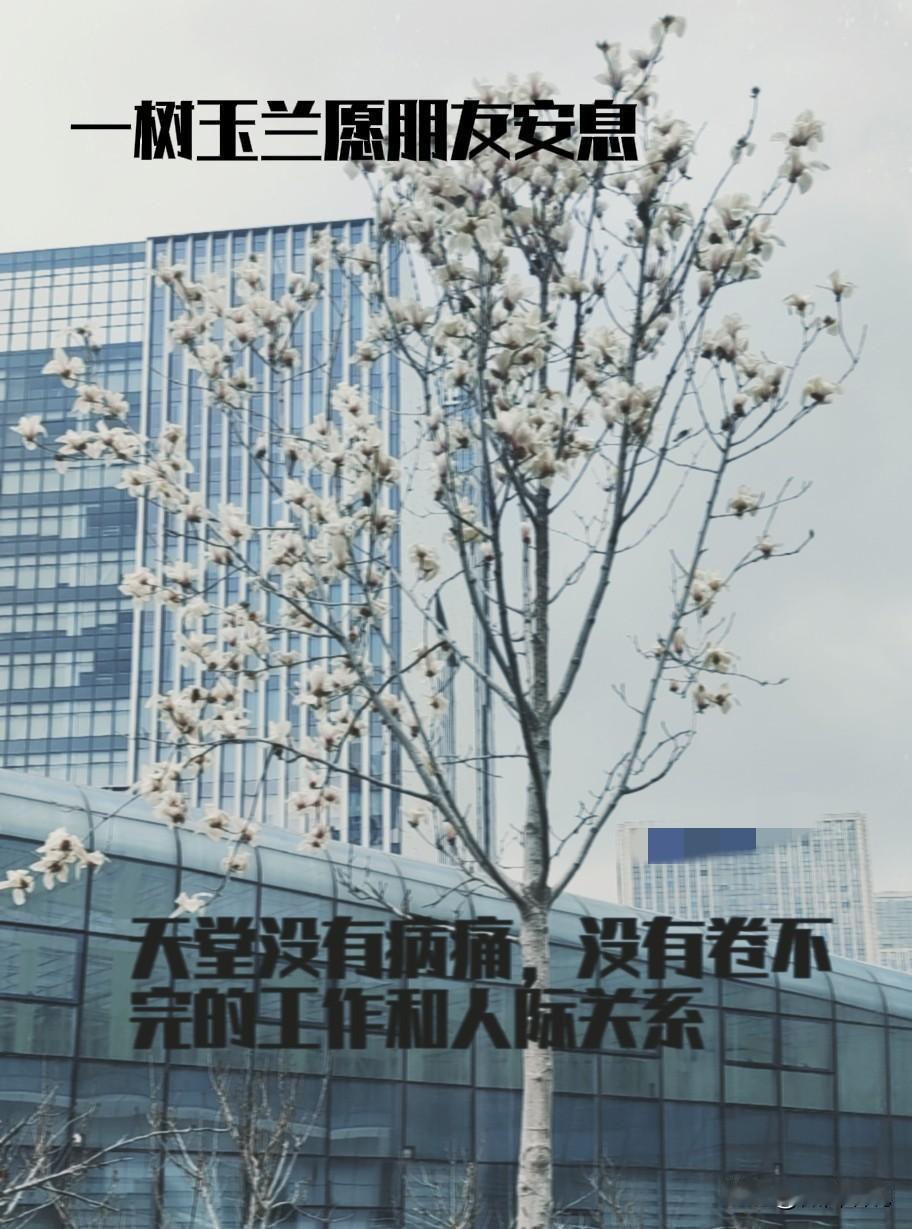 忽然听到一个老乡离去的消息，心里很难过的，大学时一个学校，一个学院。年龄正值中年