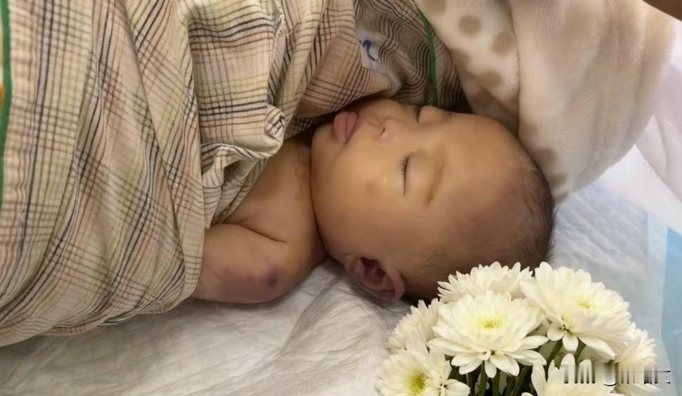 宁波5月女婴手术台殒命！眼角挂泪嘴闭不上，手术超时3倍为啥不告知？
 
五个月大