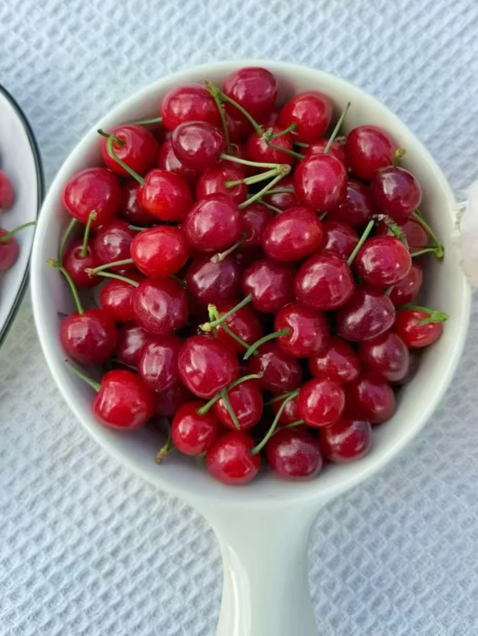 看看我家小樱桃的买家秀，你心动吗！