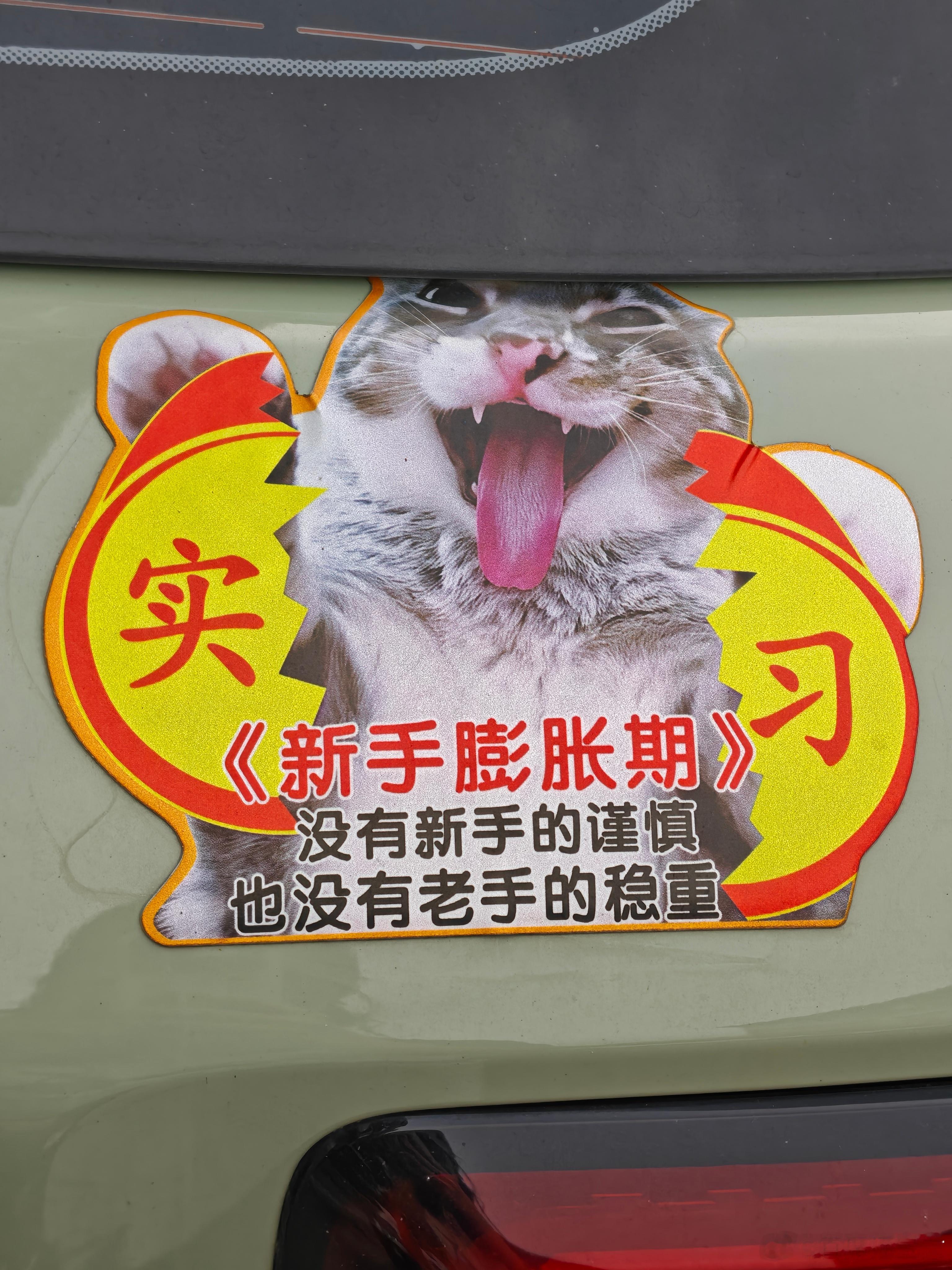 一下楼就看着一对祖孙对着我的车屁股朗读我的车贴，我装作和车不认识赶紧走了。 ​​