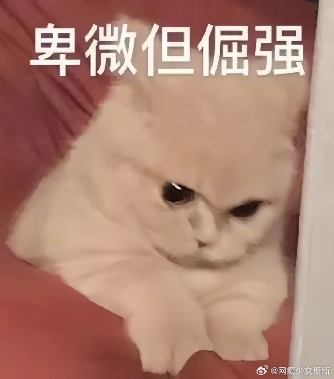 近期爱用表情包分享！ 