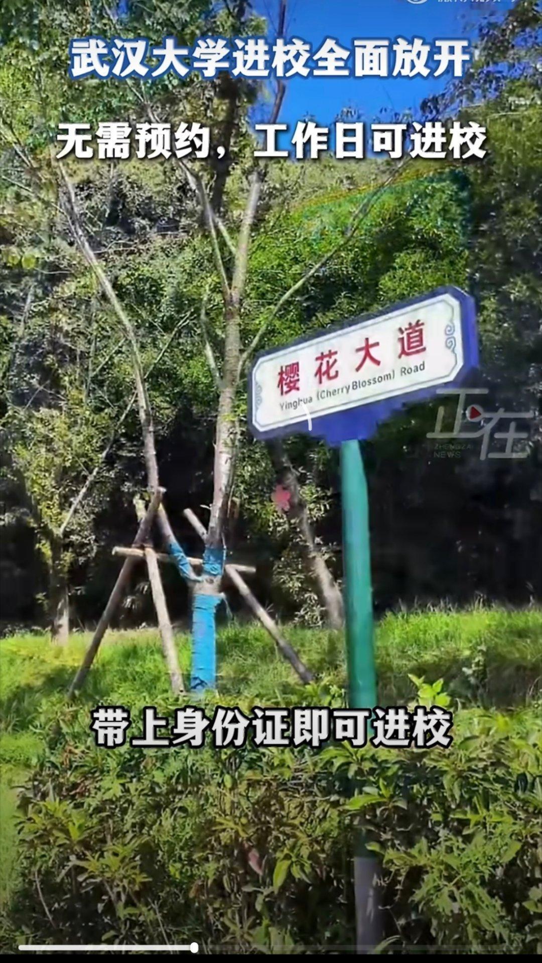 武汉大学进校全面放开¹ 给武大点赞！多年来一直支持开放校园。因为我念大学时就是开