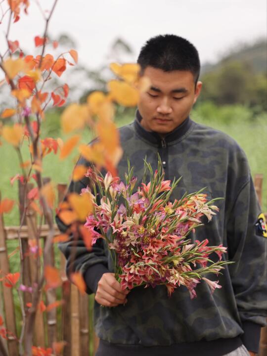 这是什么神仙植物，既像春天，又像秋天