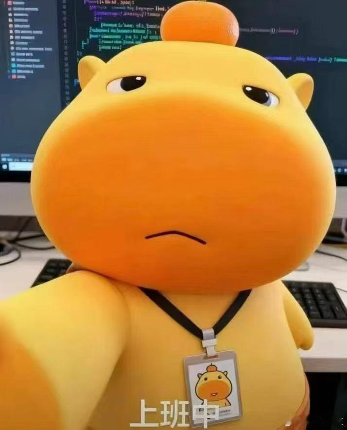 原来只有我上班在乱穿是我没错了总觉得上班随便穿穿得了不过现在变了一些美丽的衣服不