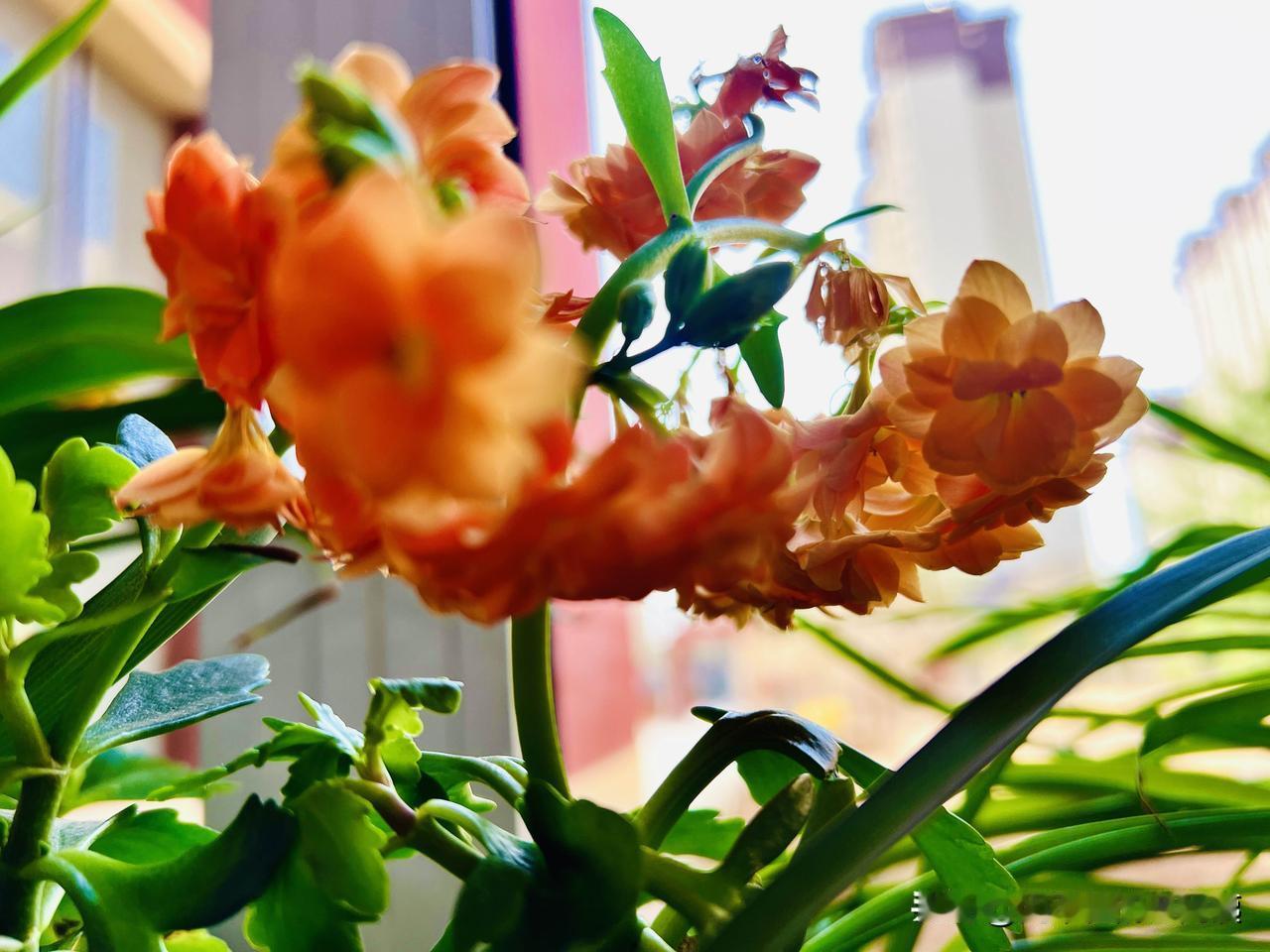 年检对汽车会有损伤吗?
检测时暴力轰油门、急刹测试，对发动机、变速箱和刹车系统都