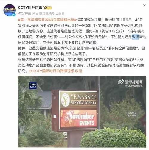 这场“猴子大逃亡”不仅让当地居民措手不及，也引发了网友们的热议。有人调侃说：“这