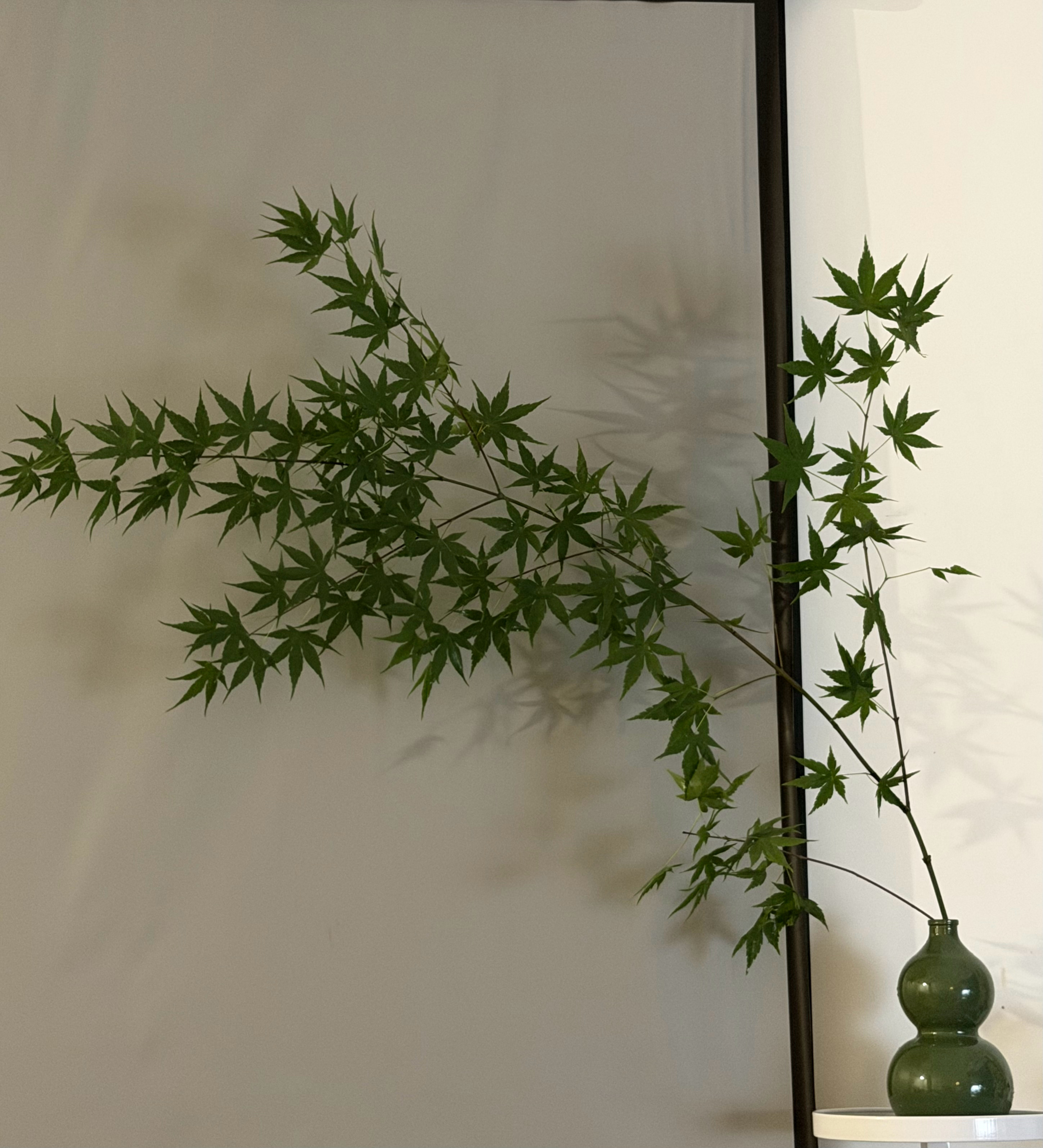 忘了哪个端午礼盒里的葫芦了，装一支枫叶蛮好