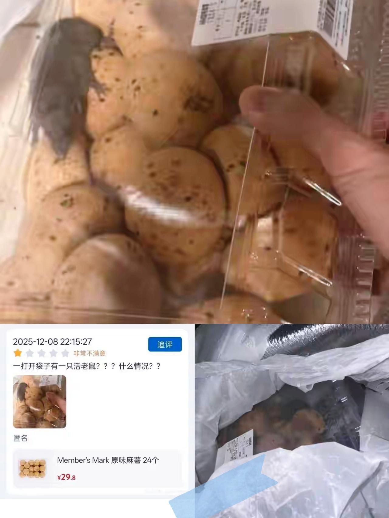 买山姆麻薯开出活老鼠？这波回应真的太敷衍了！花几百块会员费图的就是品质和安心，结