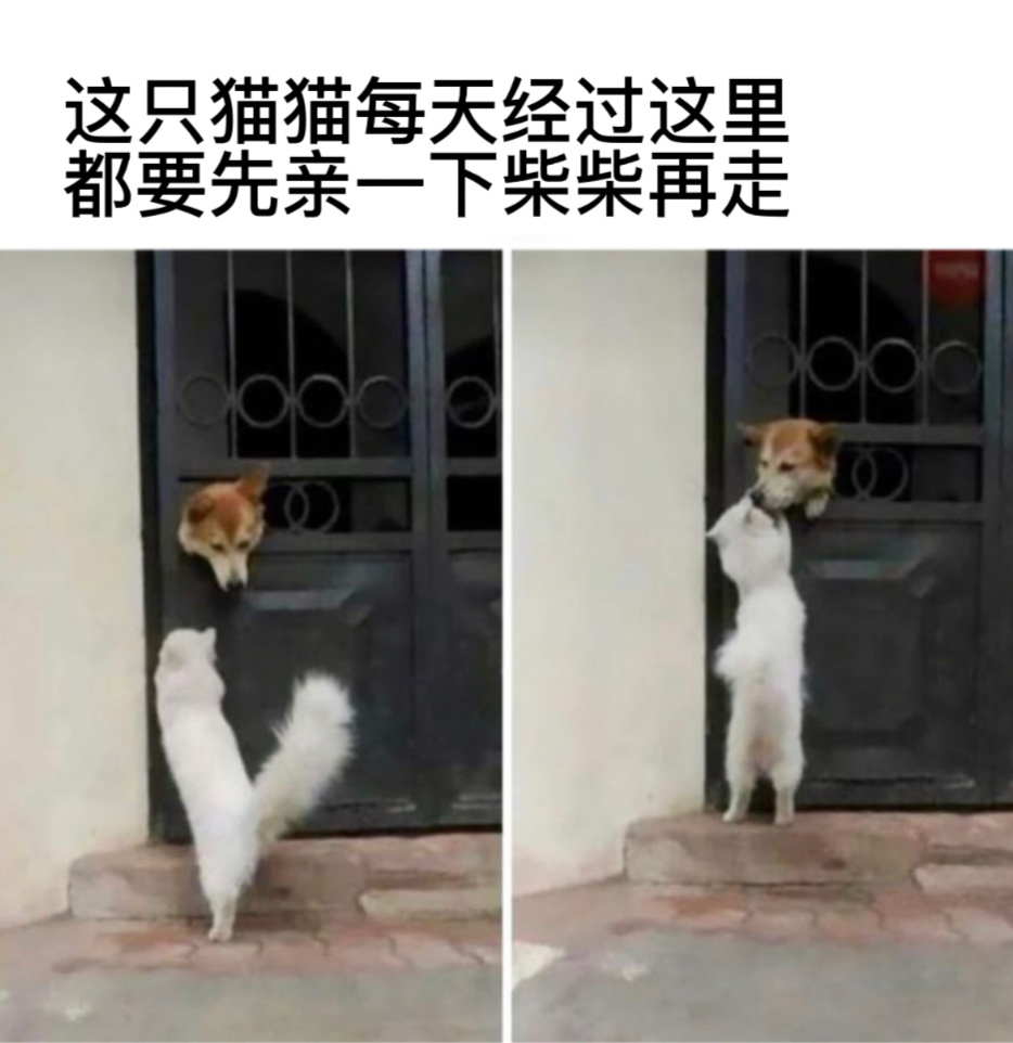趁机占便宜#今日memes# //#我的幽默搭子# //#定格# ​​​