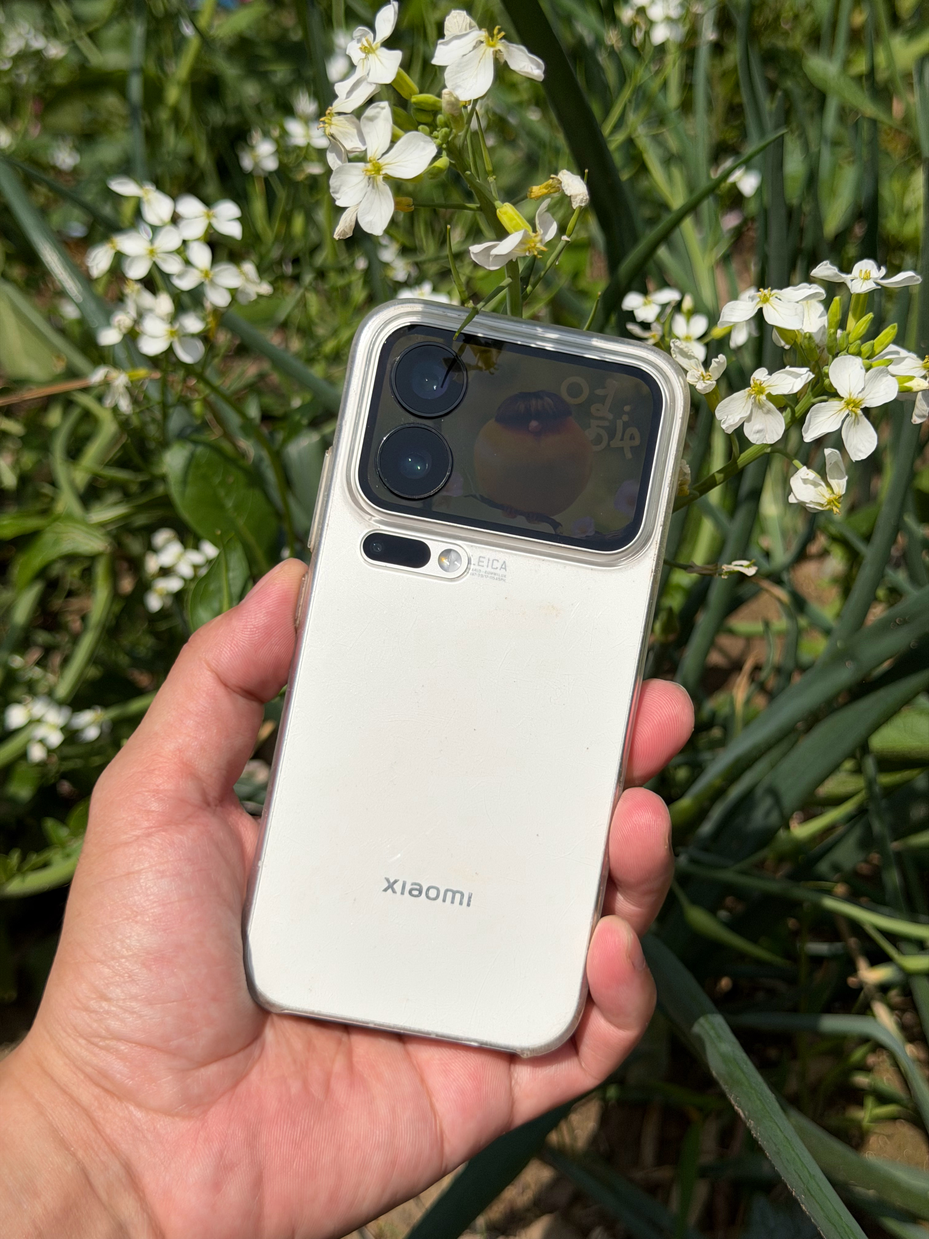 这背屏，极具辨识度，小米 17 Pro，越看越顺眼 商丘