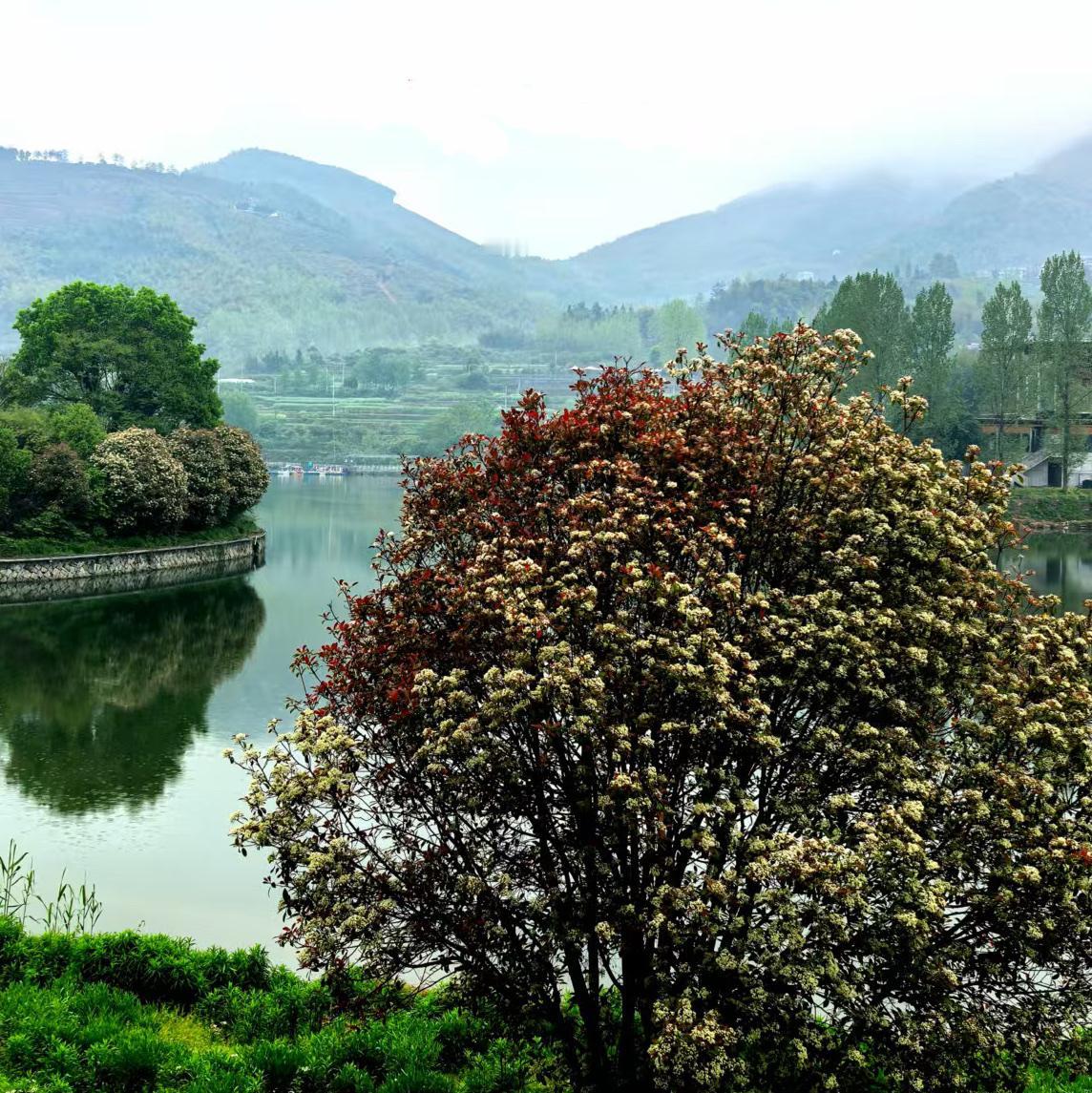 万水青山总是情……