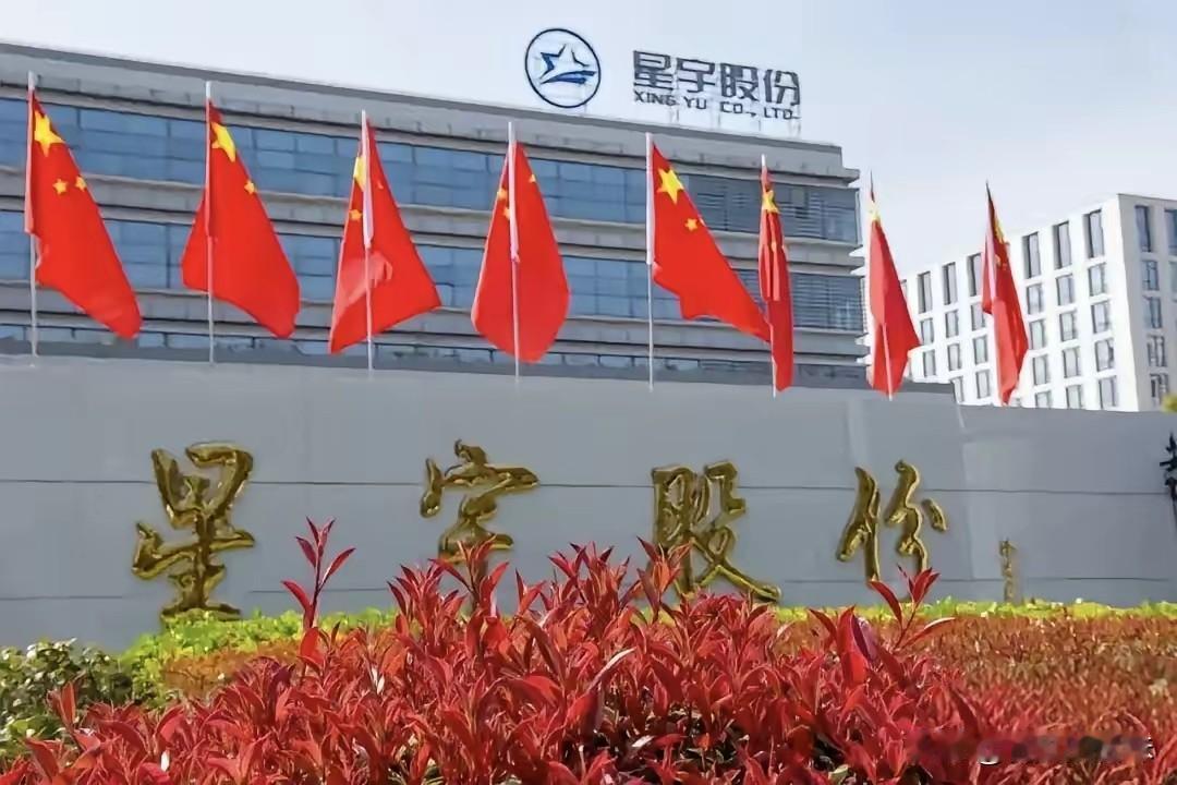终于明白全网为什么死磕星宇股份了！网友根本不是揪着赔偿是3个月还是6个月补贴，而