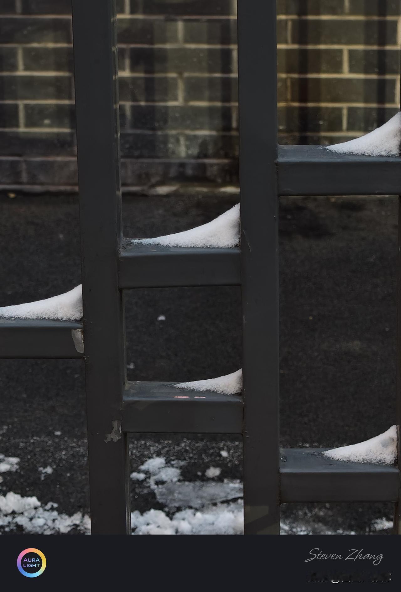 雪整齐地排着队，只是为了描绘风的方向