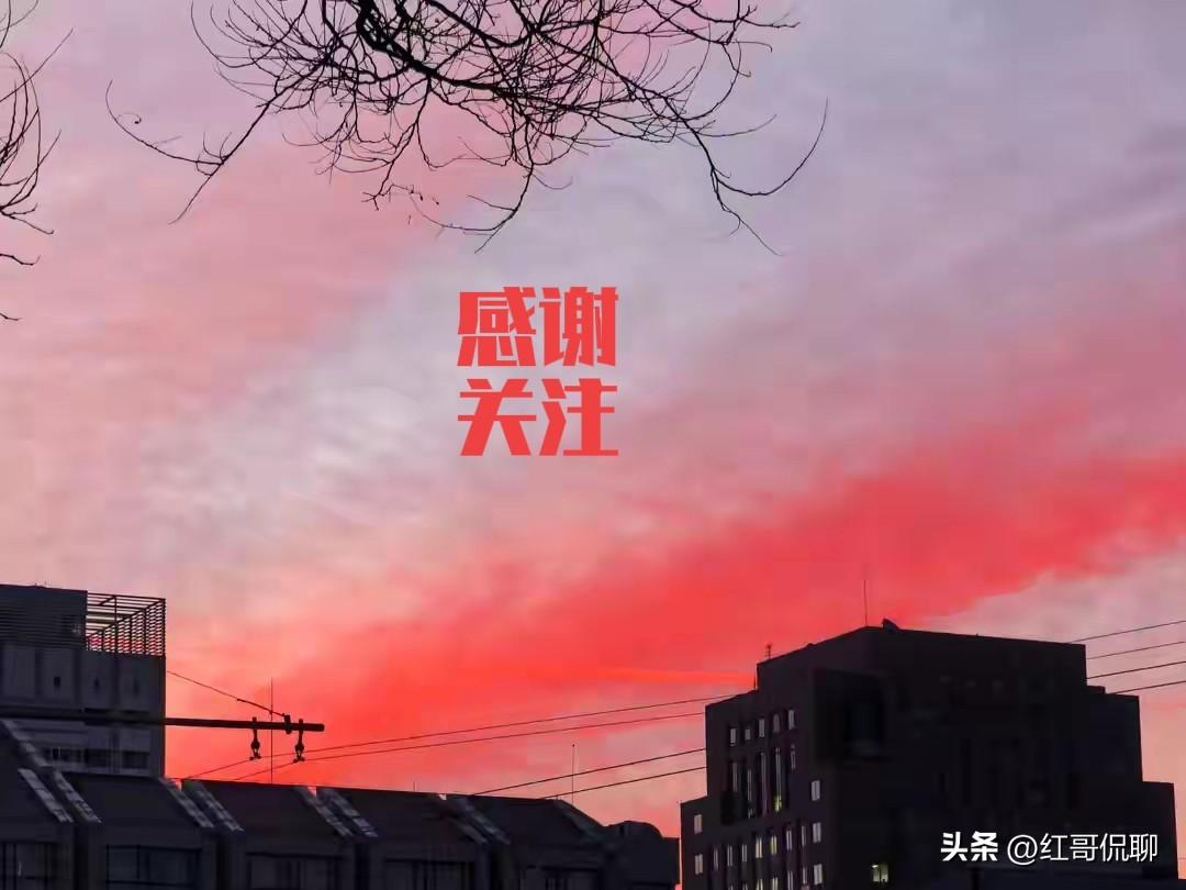 据说有家律所把总分所的管理变成了汇聚资金池的手段，让律所成了变相的融资担保机构，