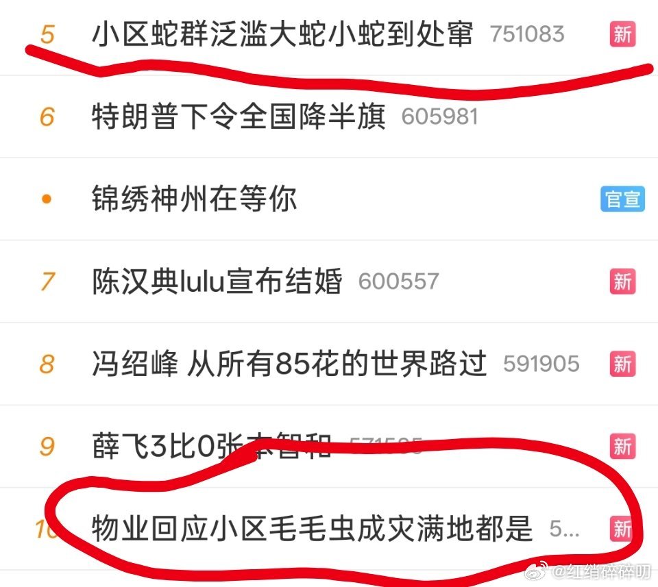 小区蛇群泛滥大蛇小蛇到处窜养鸭养鸡试试[思考][思考] ​​​