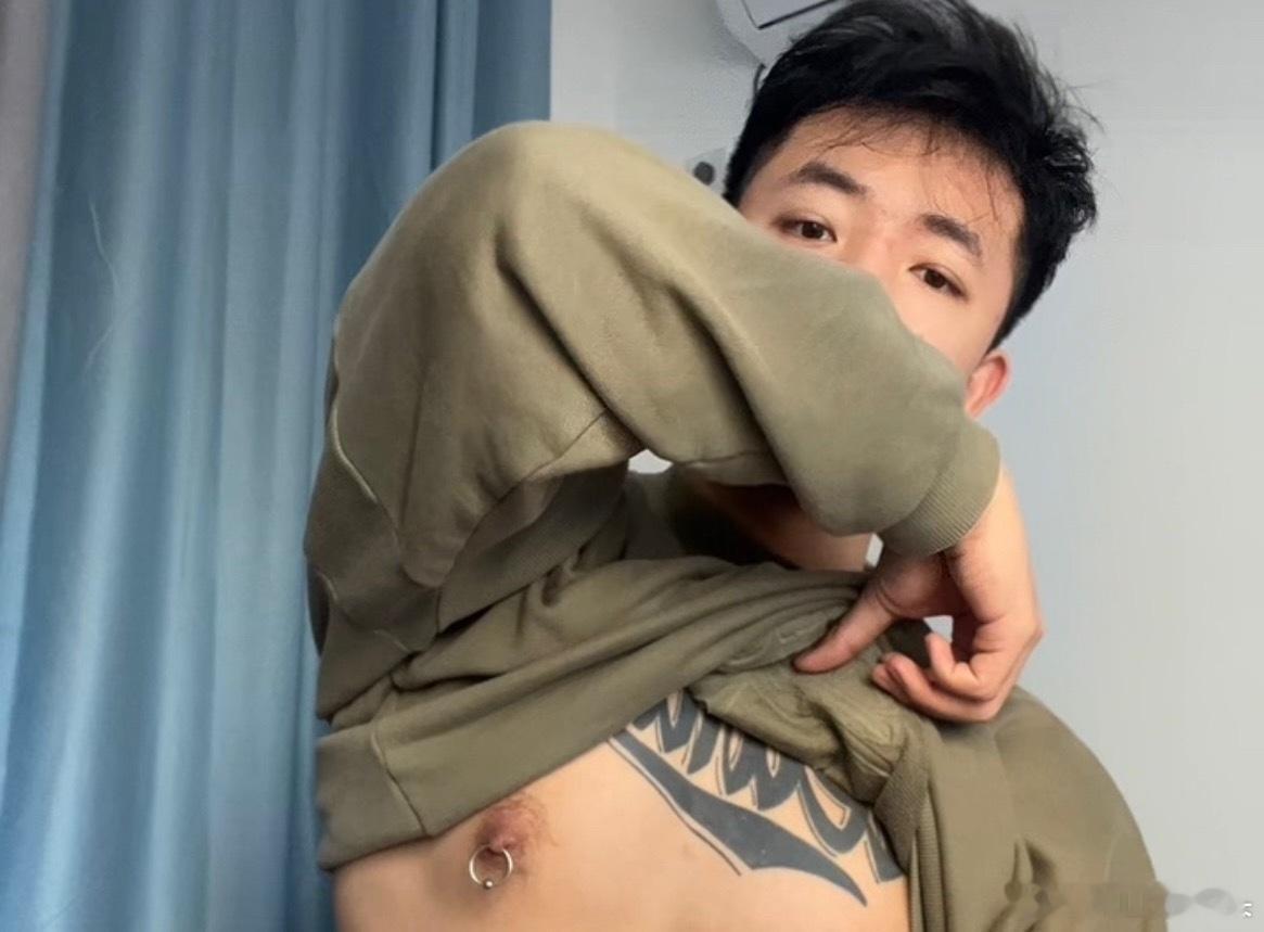 我竟然有这等好图？[兔子] ​​​