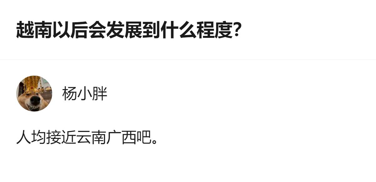 从现有信息看，关于越南未来发展的讨论里，有观点提及越南的经济活力与改革决心，还提
