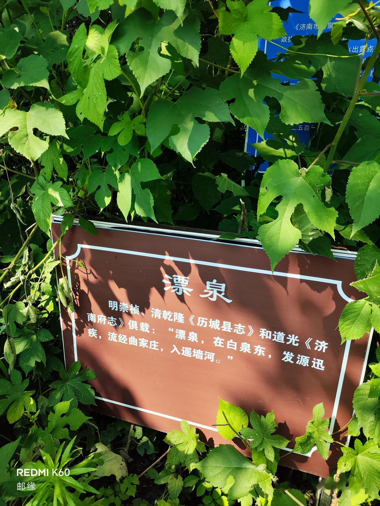 漂泉成了附近人热衷的取水口。在济南历城区鲍山白泉便民取水点，这里的“漂泉”完成了