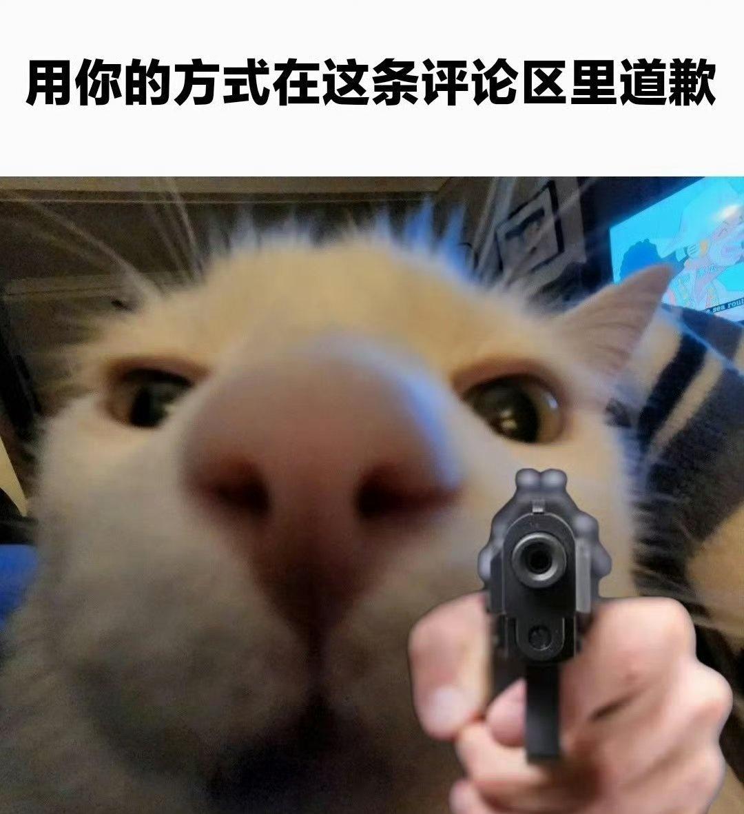 来 用你的方式道歉：