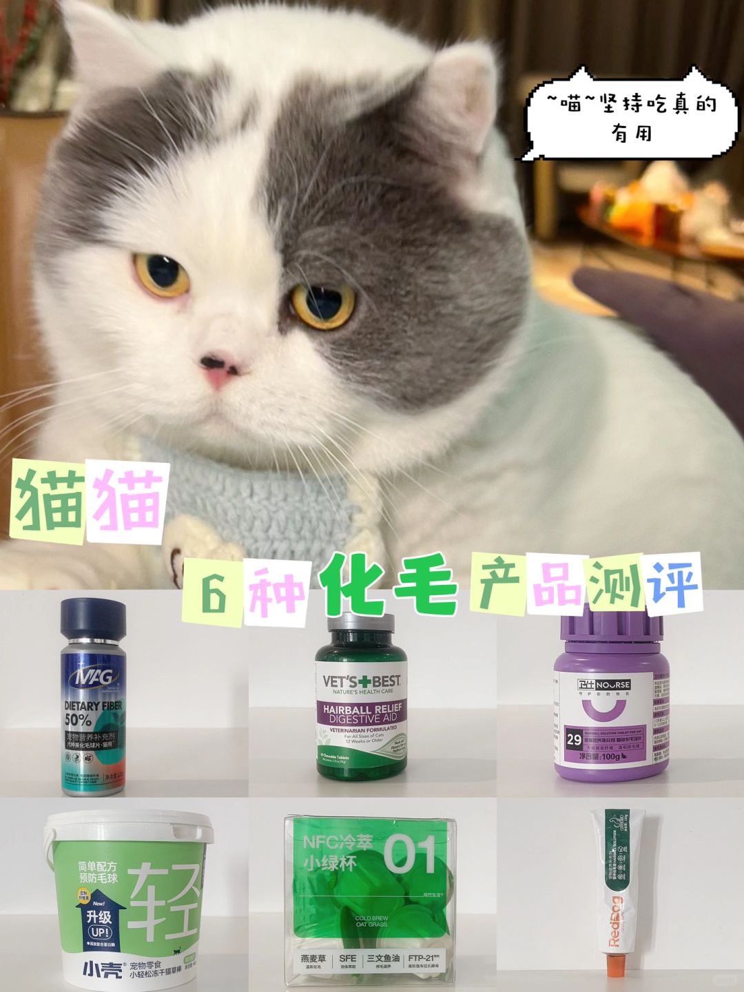 猫咪化毛产品攻略💗🐱新手养猫必备