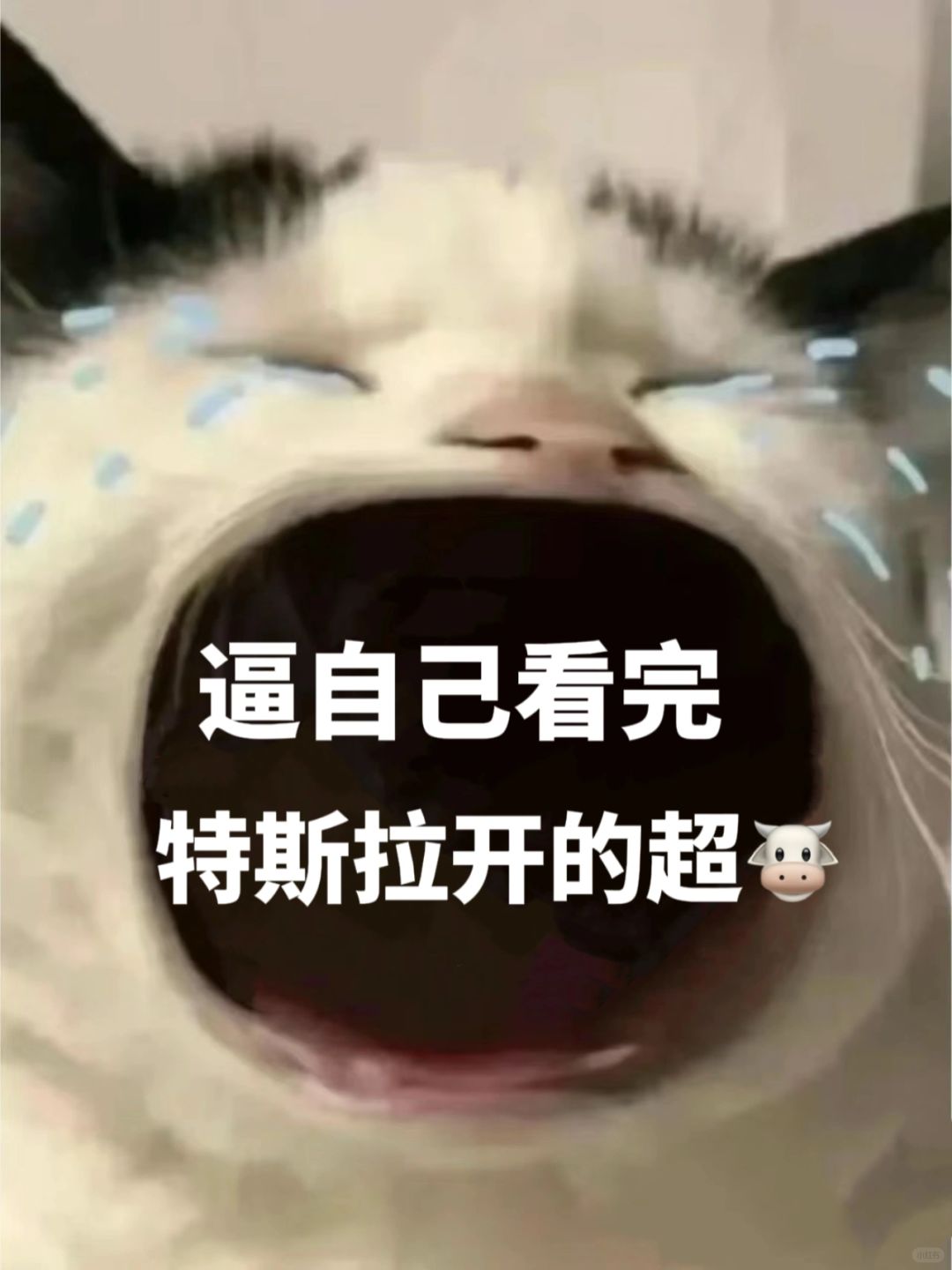 逼自己看完‼️你真的超会开特斯拉😭
