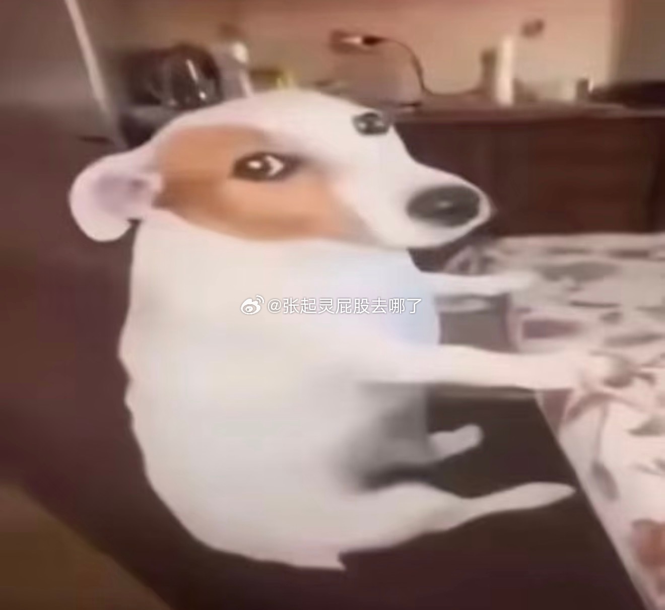 看小说了去了……今天好累啊，感觉我11点就能睡着张屁股的漫画空间站[超话] ​​