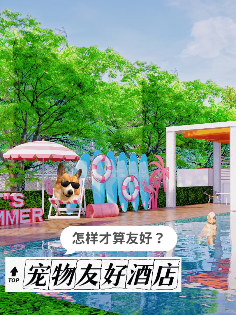 关于宠物友好酒店的大胆想法