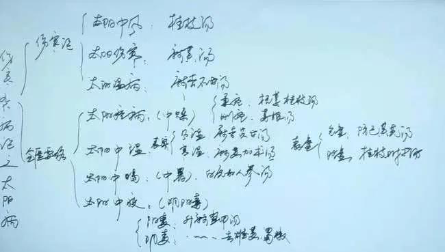 伤寒杂病论之太阳病～
（江苏省人民医院梅花独秀）医圣伤寒论 伤寒杂症论 伤寒六经