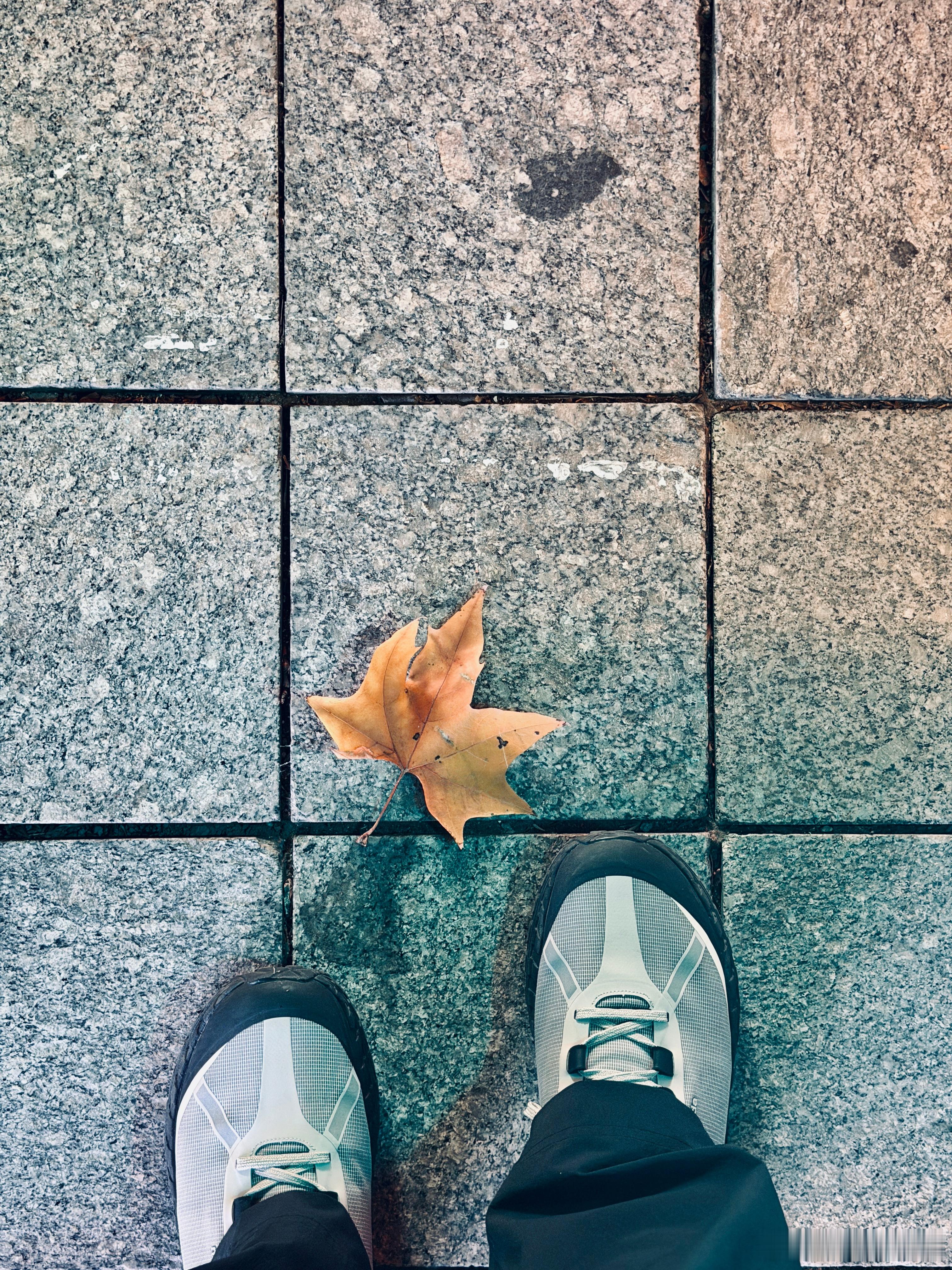 我们每天都在和自己的情绪相处，所谓解药，是找到一种方式安放自己。好梦~~~ 