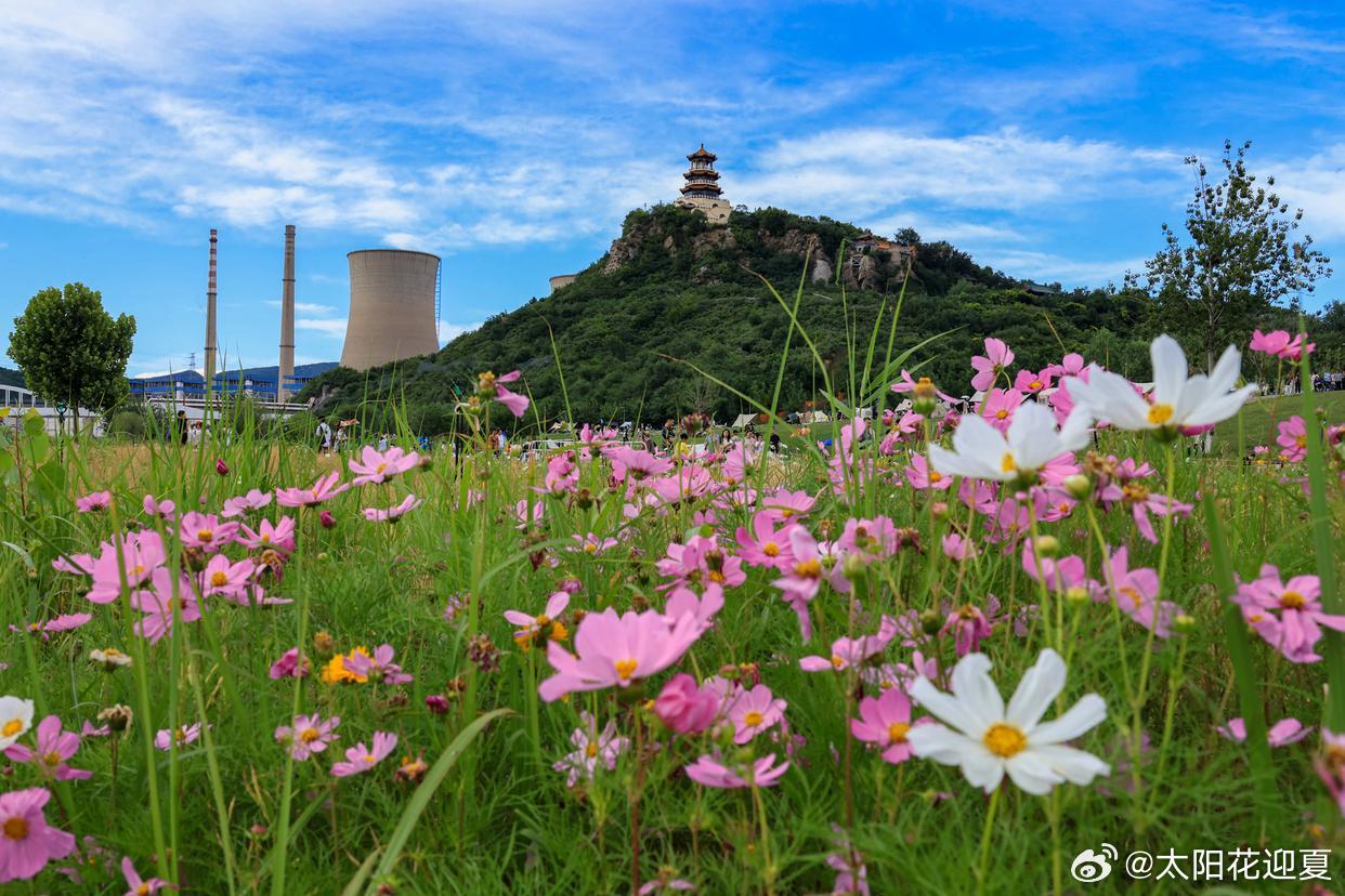 赴一场京西的夏，揽清风、遇彩虹、赏繁花～ 
